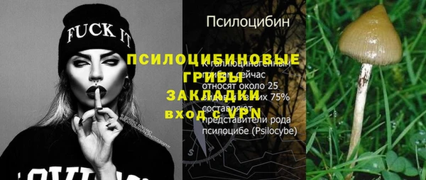 a pvp Алзамай